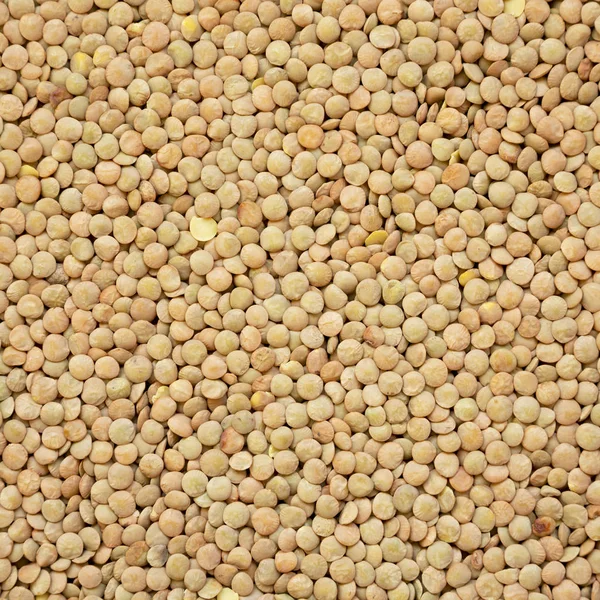 Organik yeşil mercimek doku, üst görünümü. Close.