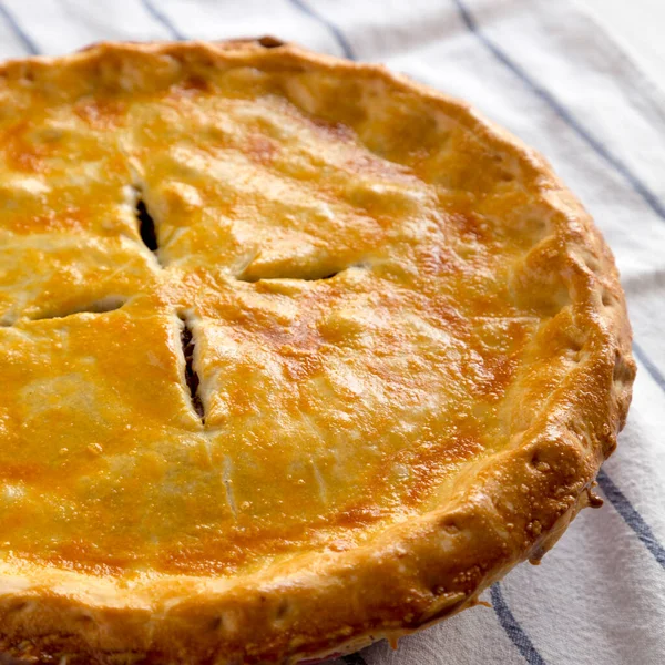 Délicieux Tourtiere Canadien Maison Tarte Viande Sur Tissu Vue Latérale — Photo