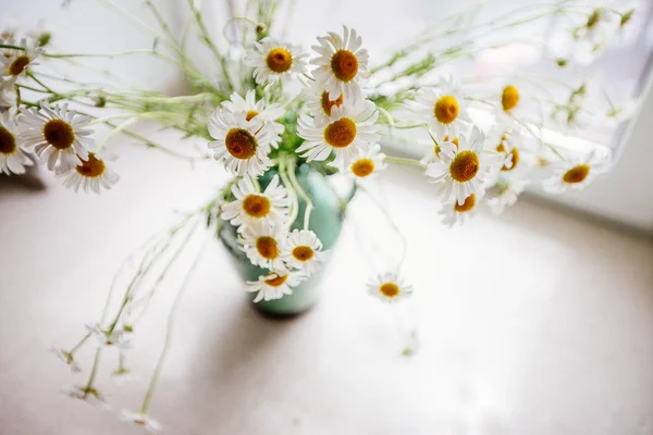 White daisies in a vase. — Stock Photo, Image