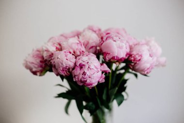 Bir buket pembe şakayık.