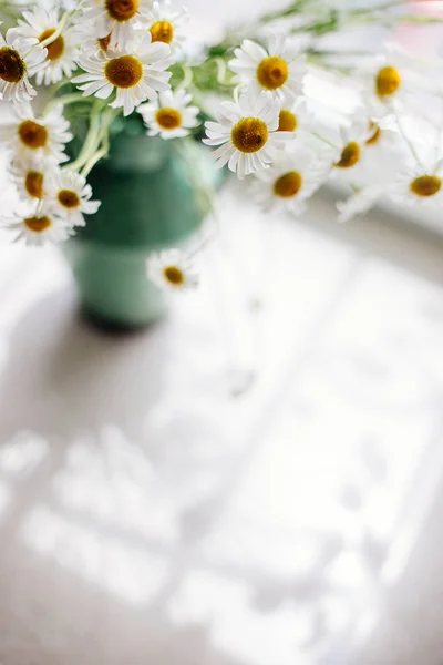 White daisies in a vase. — Stock Photo, Image
