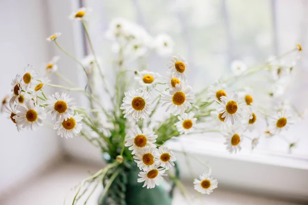 White daisies in a vase. — Stock Photo, Image