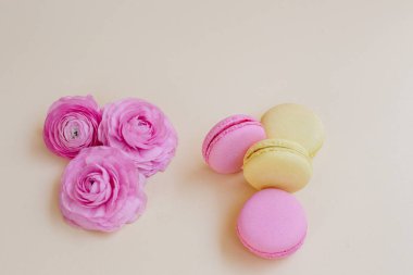 Macaroons ve tipik sarı bir arka plan üzerinde.