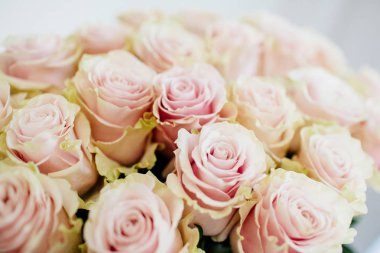 Vazoda bir buket gül.