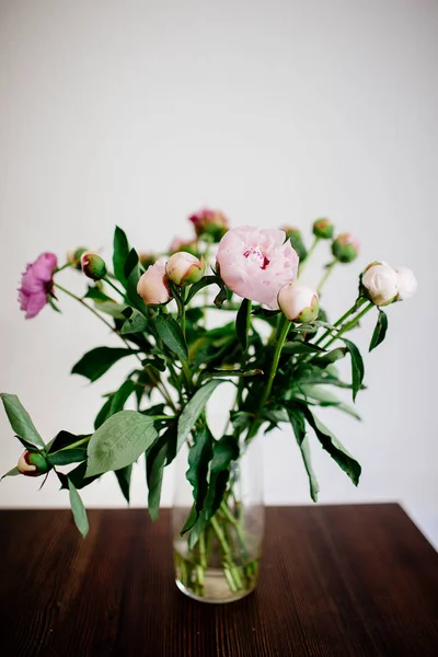 Bouquet of pink peonies Royalty Free Stock Photos