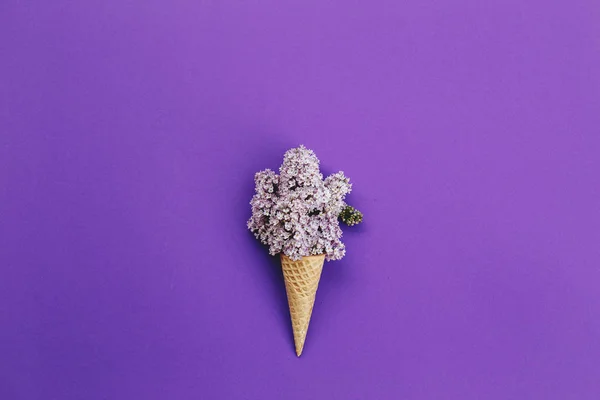 Cono de helado con flores . — Foto de Stock