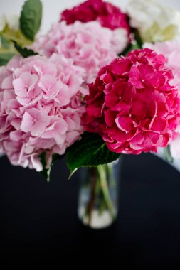 Bir vazo içinde güzel ortanca.