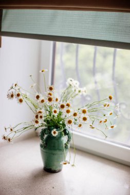 bir Vazoda beyaz papatya.