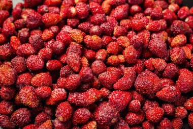 Taze toplanmış çileklerin geçmişi