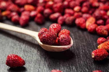 Taze toplanmış çileklerin geçmişi