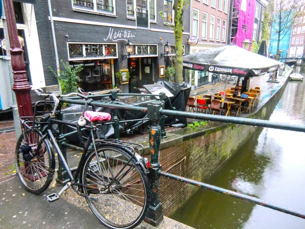 Lichten Rosse Amsterdam Nederland Nederland Europa — Stockfoto