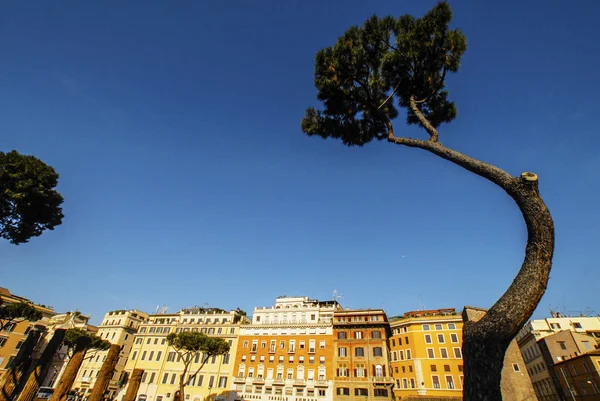 Largo Argentina Roma Frente Sítio Arqueológico Lazio Itália Europa — Fotografia de Stock