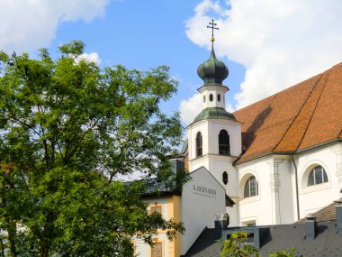 beyaz üzerine salata