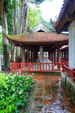 Hanoi 'nin Edebiyat Tapınağı' ndaki ünlü kaplumbağa bifteği aslında taş kaplumbağalardır. Doktorların Çelik Çelik 'ini destekleyen. Kraliyet sınavlarını geçen bilginlerin isimlerinin yazılı olduğu antik taş tabletler. Vietnam kültüründe, kaplumbağa sembolü