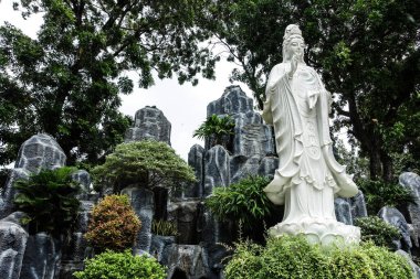 Hoang Phap Budist Tapınağı 'ndaki ashoka ağacı Budizm' de barışı ve Buda 'nın doğumunu temsil eden kutsal bir ağaç olarak kabul edilir. Ho Chi Minh Şehri, Vietnam, 2025.