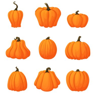 Halloween ayarla, vektör simgeler hasat. Turuncu balkabağı beyaz arka plan üzerinde izole. Farklı şekiller. Sonbahar tatil.