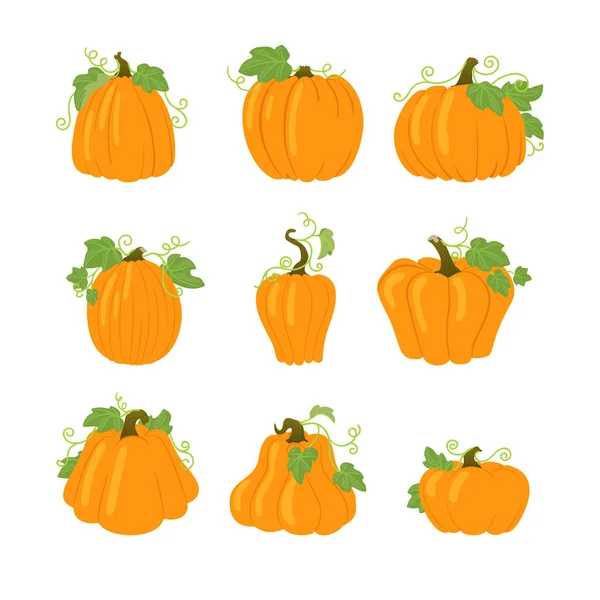 Set Dovleci Galbeni Simpli Frunze Viță Vie Halloween Pictograme Vectoriale — Vector de stoc