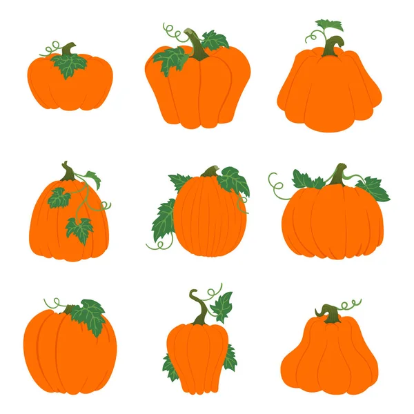 Conjunto Calabazas Naranjas Simples Con Hojas Vides Halloween Iconos Vectoriales — Vector de stock