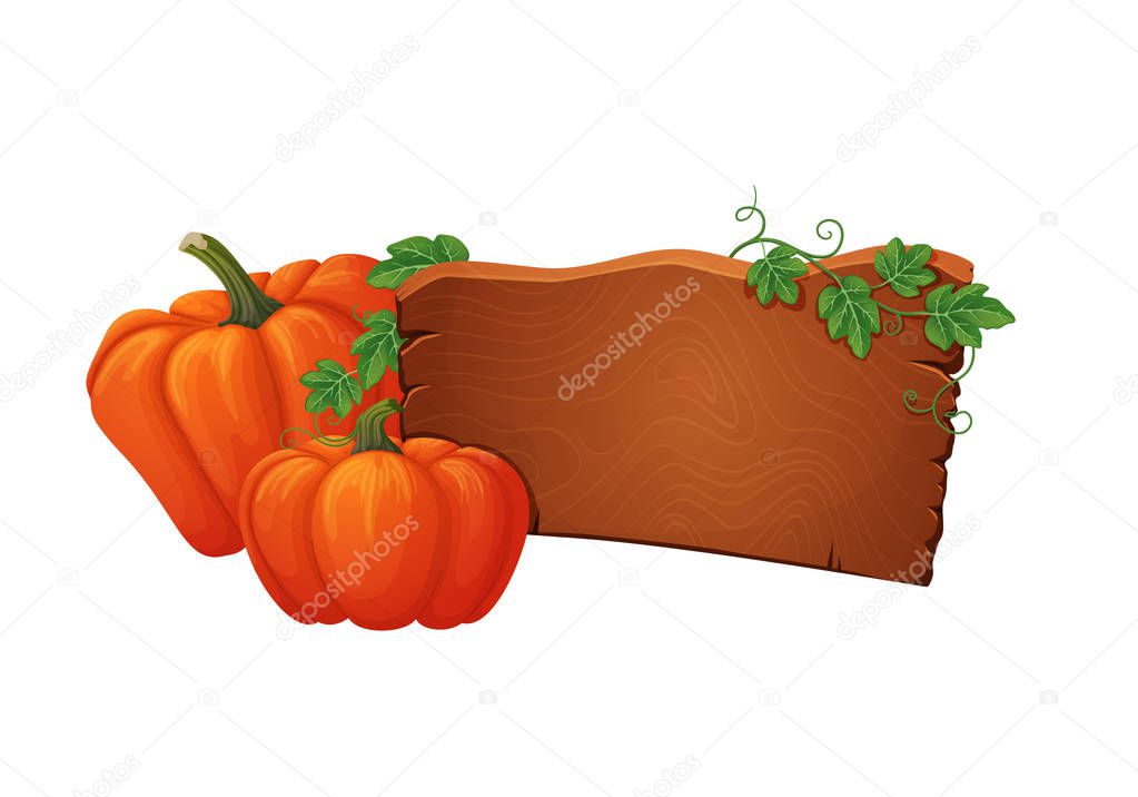 Vector banner, sign, icon template. Wooden signboard with two ripe orange pumpkins with green vines and leaves. Autumn, halloween, harvest, thanksgiving design isolated on white.