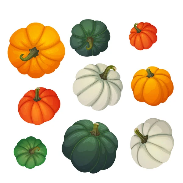 Set Icone Vettoriali Autunnali Del Raccolto Del Ringraziamento Halloween Zucche — Vettoriale Stock