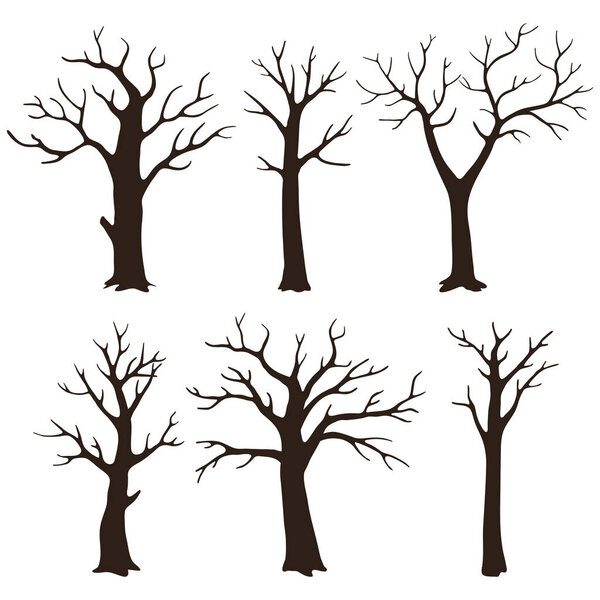 Set of vector elements. Dark silhouettes of bare trees with leafless branches isolated on a white background.