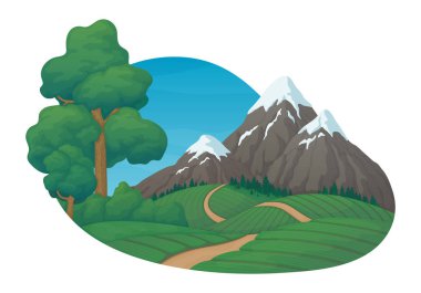 Yaz günü kırsal tarım sahnesi. Tarım tarlaları, çam ağaçları 