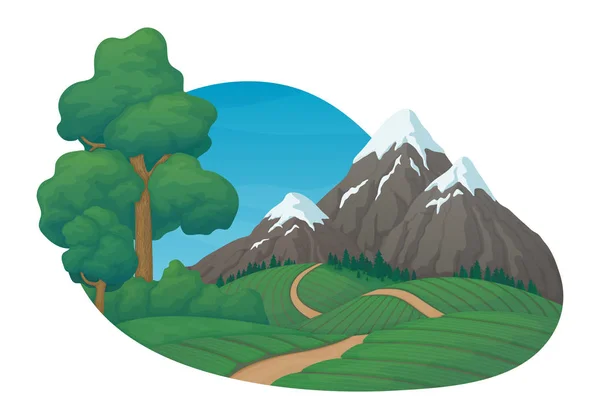 Summer day rural farming scene. Agricultural fields, pine trees — Stock Illustration Summer day rural farming scene. Agricultural fields, pine trees Stock Illustration