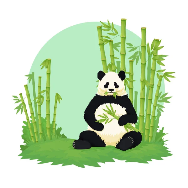 Panda gigante sentado e comendo com floresta de bambu no fundo . — Vetor de Stock