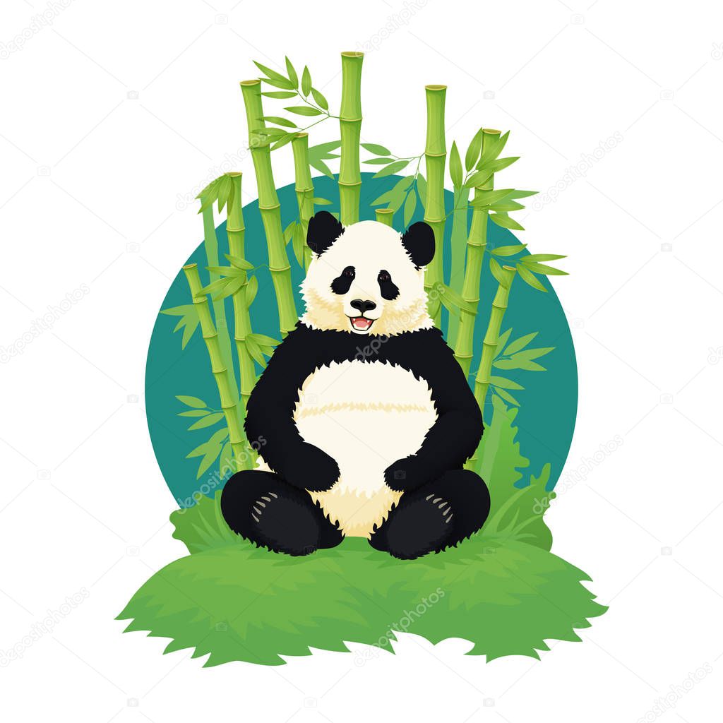 Giant panda sitting, relaxing and smiling with bamboo trees in the background.