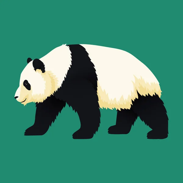 Гигантская панда ходит. Черно-белый медведь. Вымирающие виды . — стоковый вектор