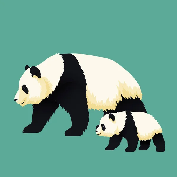 Vuxen jättepanda och baby Panda gå tillsammans. — Stock vektor