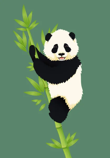 Joyeux bébé souriant panda géant grimpant au bambou vert . — Image vectorielle