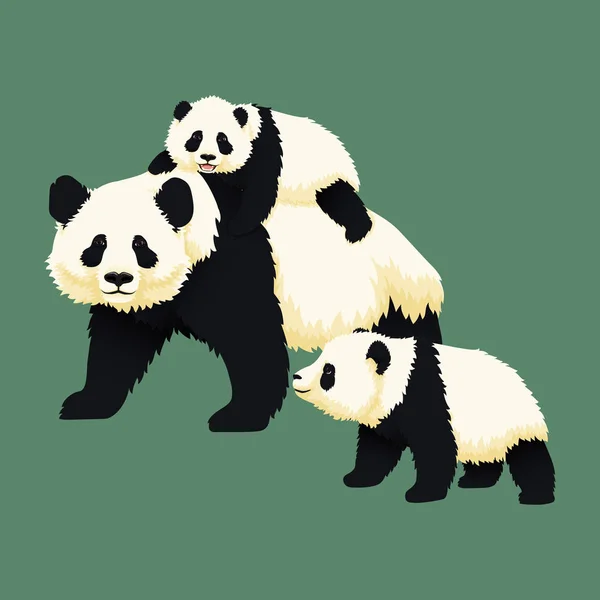 Happy souriant bébé panda géant chevauchant sur le dos d'un panda adulte avec un autre petit panda marchant près . — Image vectorielle