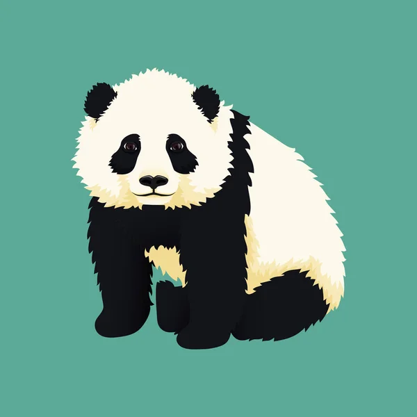 Baby Giant Panda sitter. Svart och vit kinesisk björnunge. — Stock vektor
