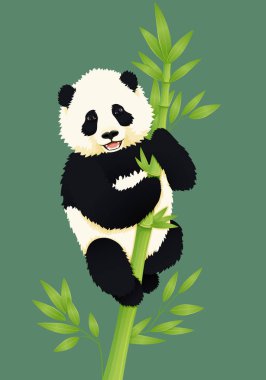 Mutlu gülümseyen bebek dev panda yeşil bambu ağacı tırmanma.