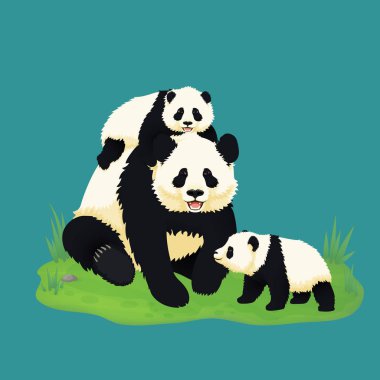 Dev panda ailesi. Çim üzerinde oturan iki bebek pandalar ile gülümseyen yetişkin Panda.