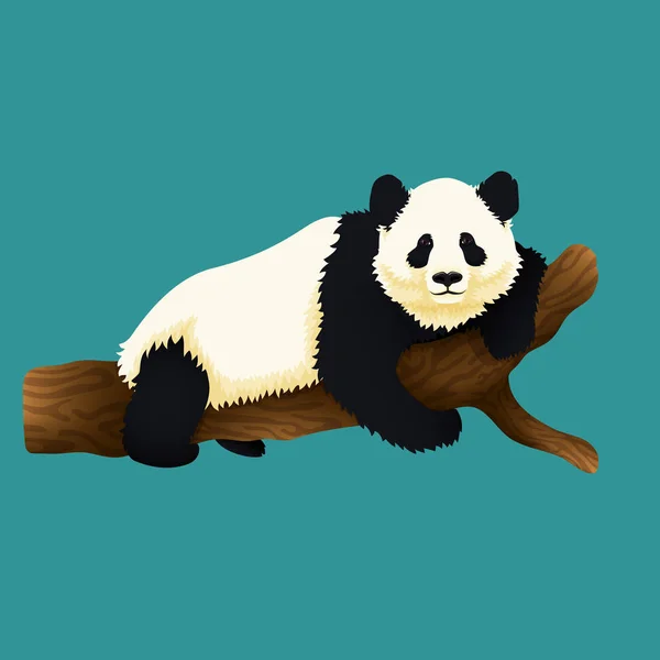 Illustration av bedårande jätte Panda liggande på ett träd. — Stock vektor