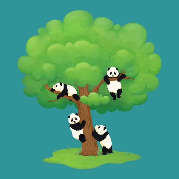 Bedårande jätte Panda ungar klättra ett träd, hängande från grenen, vilar på en gren och står på bakbenen nära stammen. — Stock vektor