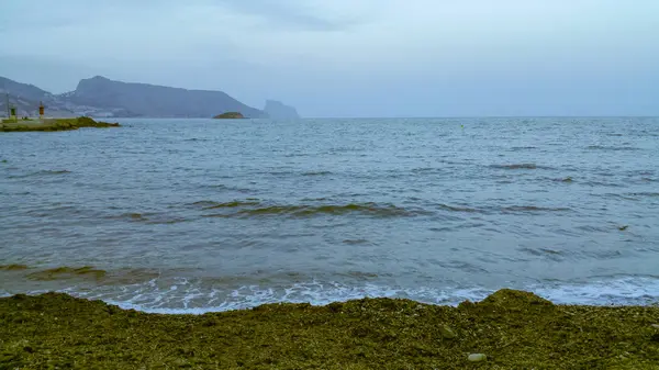 Vista de una playa al atardecer — Foto de Stock