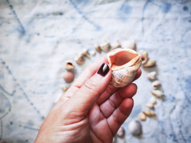 bir kabuk tutan bir kız el yakın