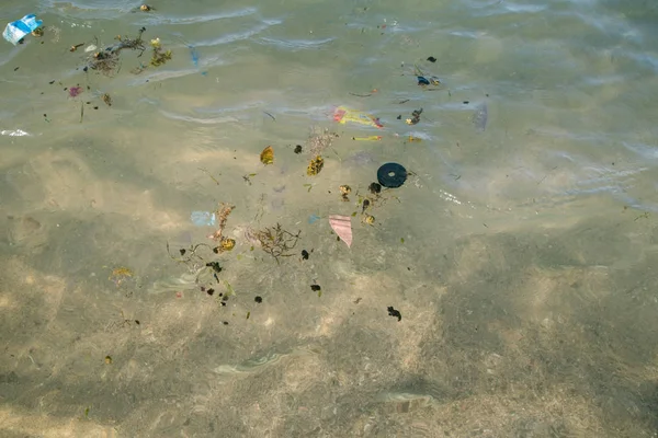 Пластиковые помои, купающиеся в Красном море Стоковое Фото