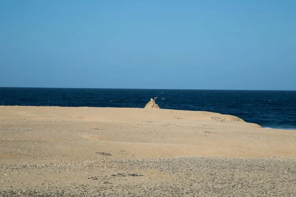 Каменный замок у Красного моря Стоковое Фото