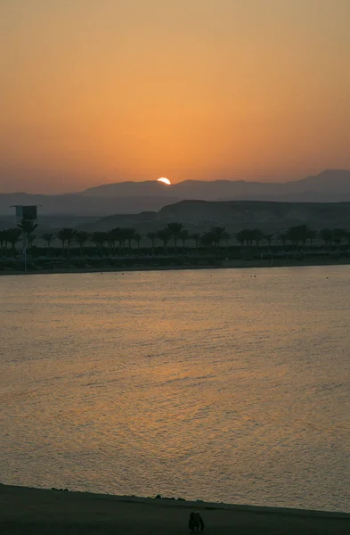 Закат у Красного моря в Египте Стоковое Изображение