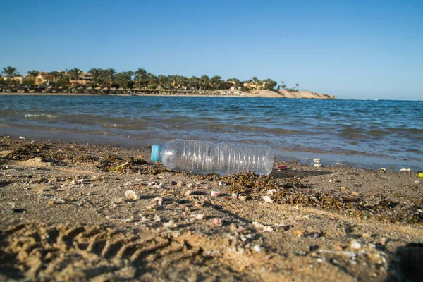 Пластиковые помои, купающиеся в Красном море Стоковое Изображение