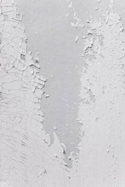 Grunge ahşap duvar desen. Beyaz ahşap doku doğal desenleri ile. Eski ahşap Panel arka plan. Soyulması boya ile kırık panoları zor. Eski püskü yüzey boyalı. Ahşap doku.