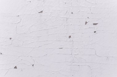 Grunge ahşap duvar desen. Beyaz ahşap doku doğal desenleri ile. Eski ahşap Panel arka plan. Soyulması boya ile kırık panoları zor. Ahşap doku.