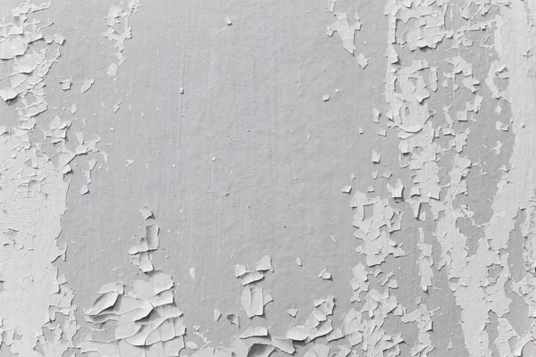 Grunge Padrão Parede Madeira Textura Madeira Branca Com Padrões Naturais — Fotografia de Stock