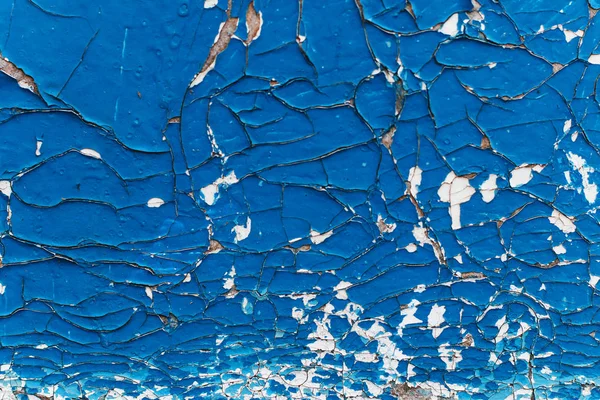 Textura Madeira Azul Com Padrões Naturais Conceito Abstrato Divisão Dissidência — Fotografia de Stock