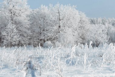 Lambaları bir göktaşı şeklinde. Lamba şekli cam pencereler ile. Alan iç. Modern aydınlatma kafe ve restoran. Metalik modern tasarım. Loft tarzı ve steampunk