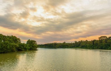 Doğa manzarası güzel nehir